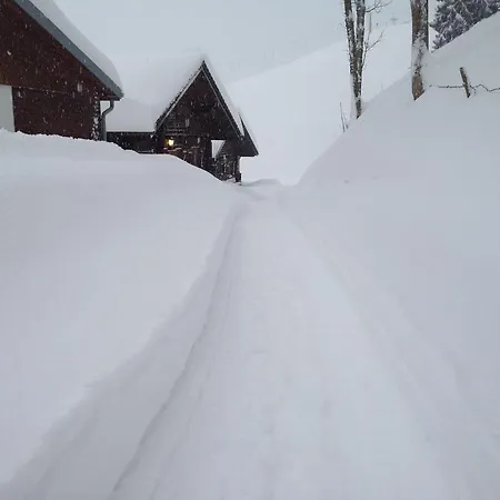 Im Blockhaus Metzler شقة *